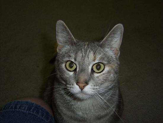 Sarah