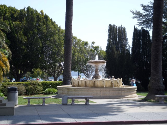 SAMSUNG CAMERA PICTURES