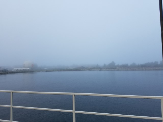 More Fog