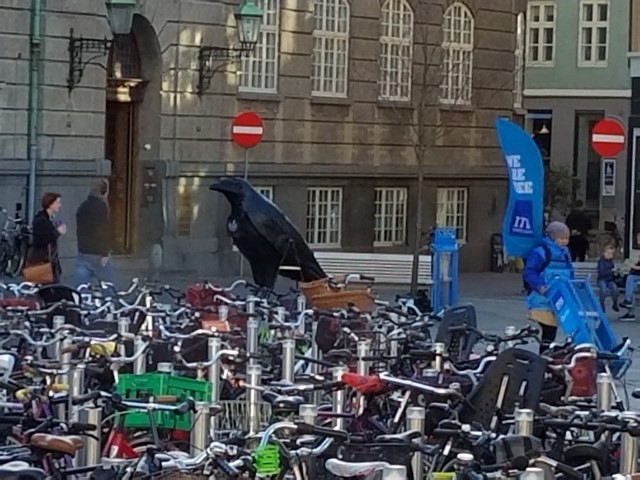 It might be hard to see, but there was a statue of a large crow in the background - this was one of several we saw.